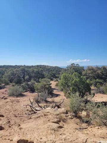 Duchesne, UT 84021,#31