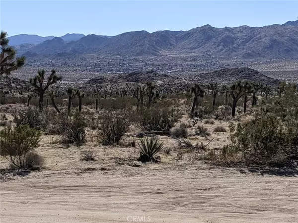 Yucca Valley, CA 92284,0 Yucca Mesa