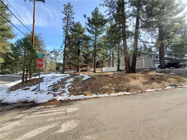 Wrightwood, CA 92397,0 Lodgepole DR