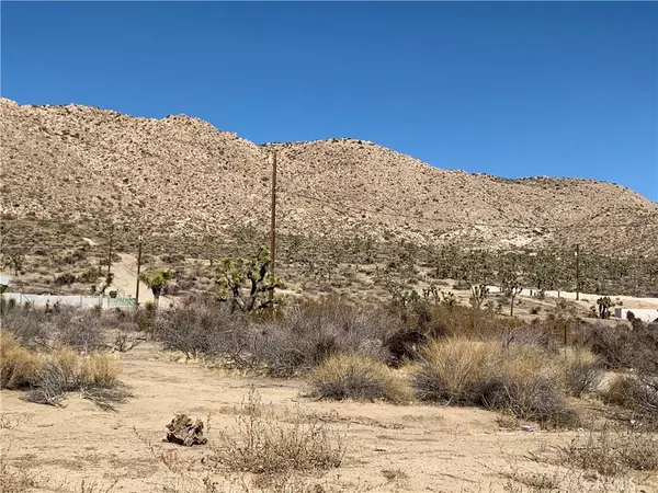 Yucca Valley, CA 92284,0 Scaravan