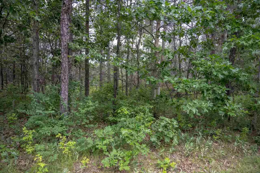 Lot 232 Woodland Tr, New Lisbon, WI 53950