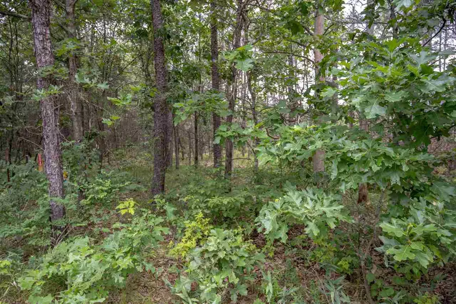 Lot 233 Woodland Tr, New Lisbon, WI 53950