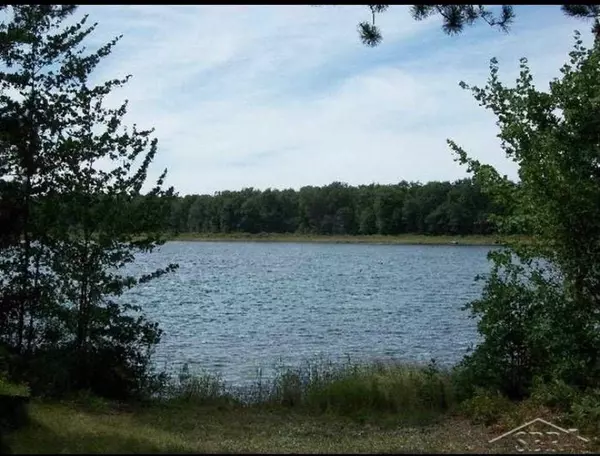 Prescott, MI 48756,VL Pineview Shores Dr