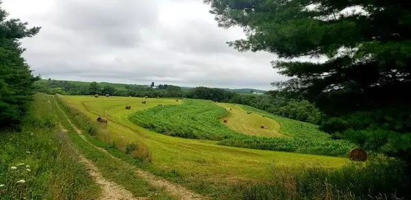 Soldiers Grove, WI 54655,42.69 acres Dull Rd