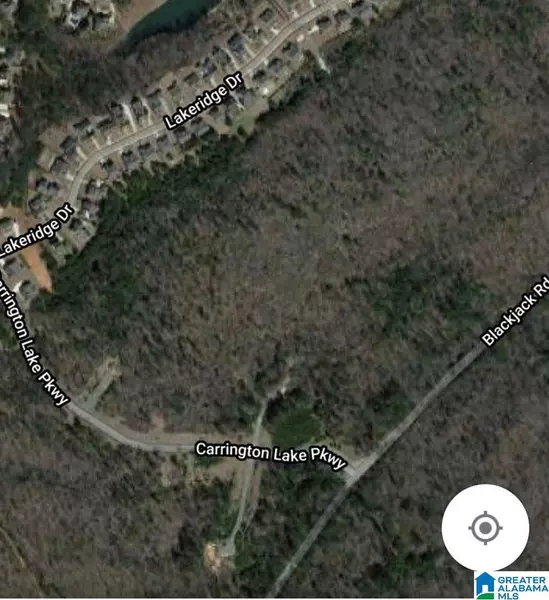 0 CARRINGTON LAKE PARKWAY #0, Trussville, AL 35173