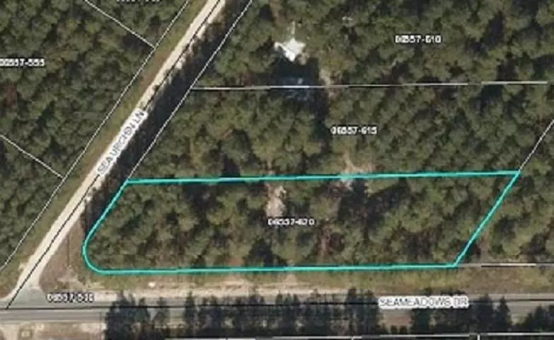 Perry, FL 32348,Vacant Sea Meadows Drive