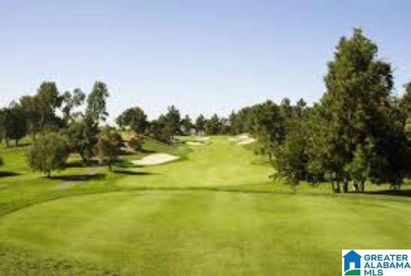 3369 CHEROKEE ROAD #0, Mountain Brook, AL 35243
