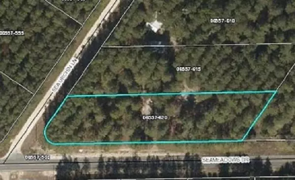 Vacant Sea Meadows Drive, Perry, FL 32348