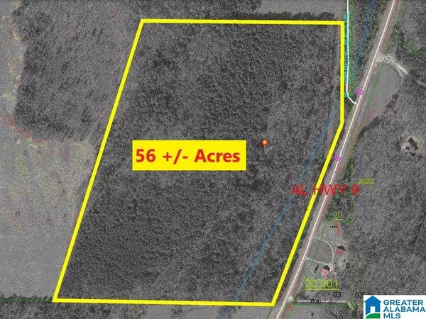 0 HIGHWAY 9 #Lot 0, 56+/- Acres, Piedmont, AL 36272