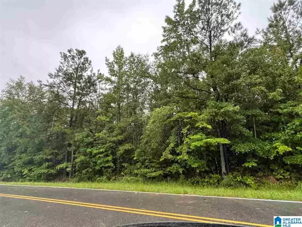 Maplesville, AL 36750,0 COUNTY ROAD 29 #23.06 acres