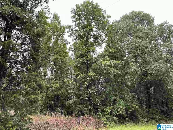 Maplesville, AL 36750,0 COUNTY ROAD 29 #23.06 acres