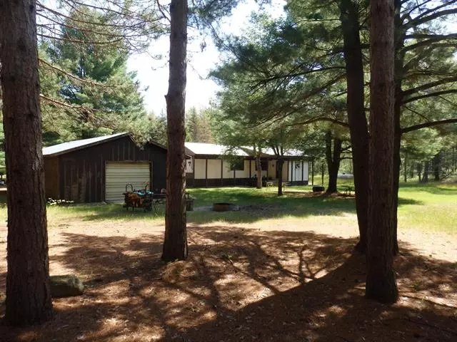 21341 Hoxeyville Road, Wellston, MI 49689