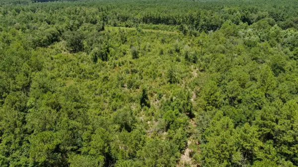 Ponce De Leon, FL 32455,10 ac Moccasin Forks Road