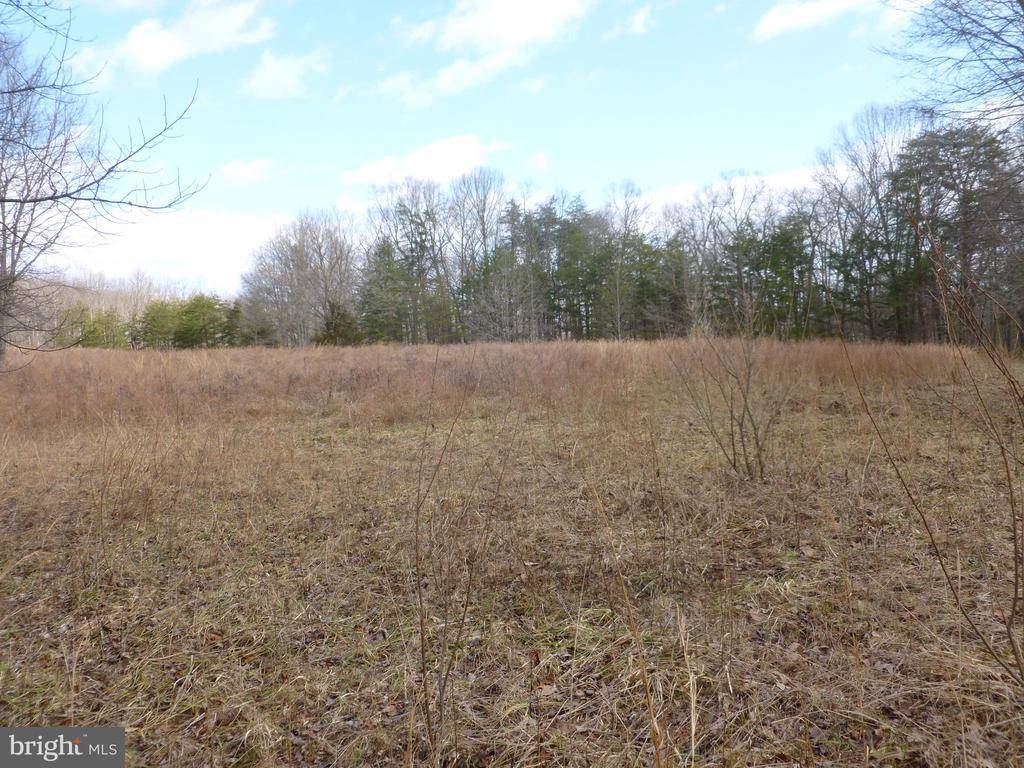 0 DEER RIDGE, Culpeper, VA 22701