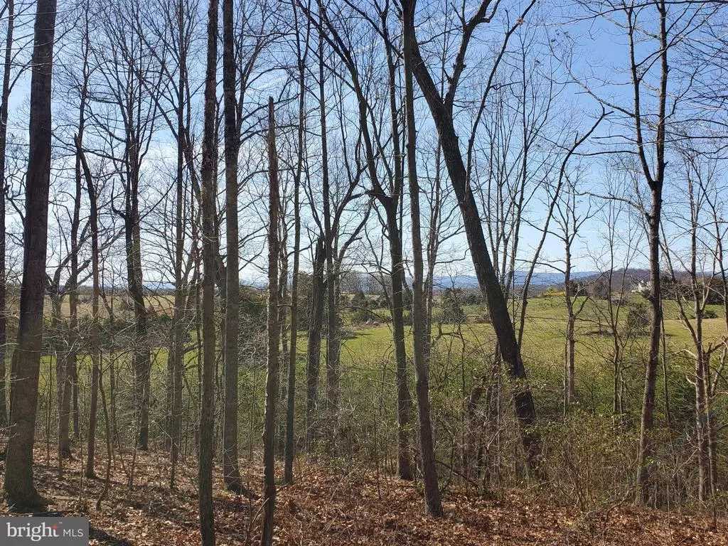 Culpeper, VA 22701,MEANDER RUN RD