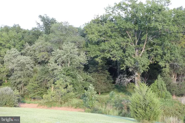 LOT 5 GALVESTON, Culpeper, VA 22701