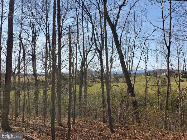 MEANDER RUN RD, Culpeper, VA 22701