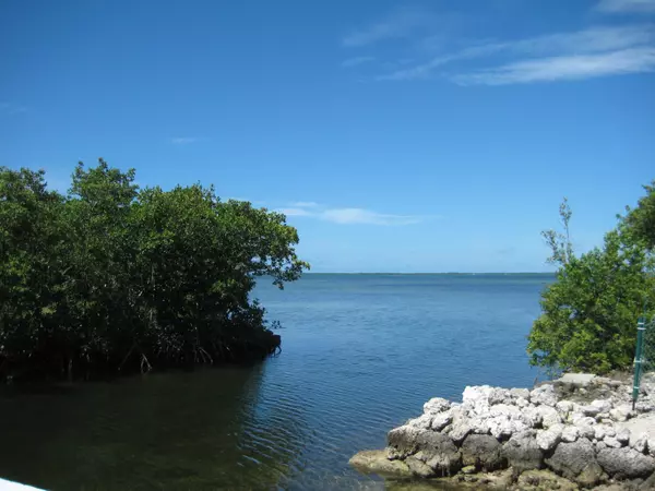 Cudjoe Key, FL 33042,22846 Port Royal LN