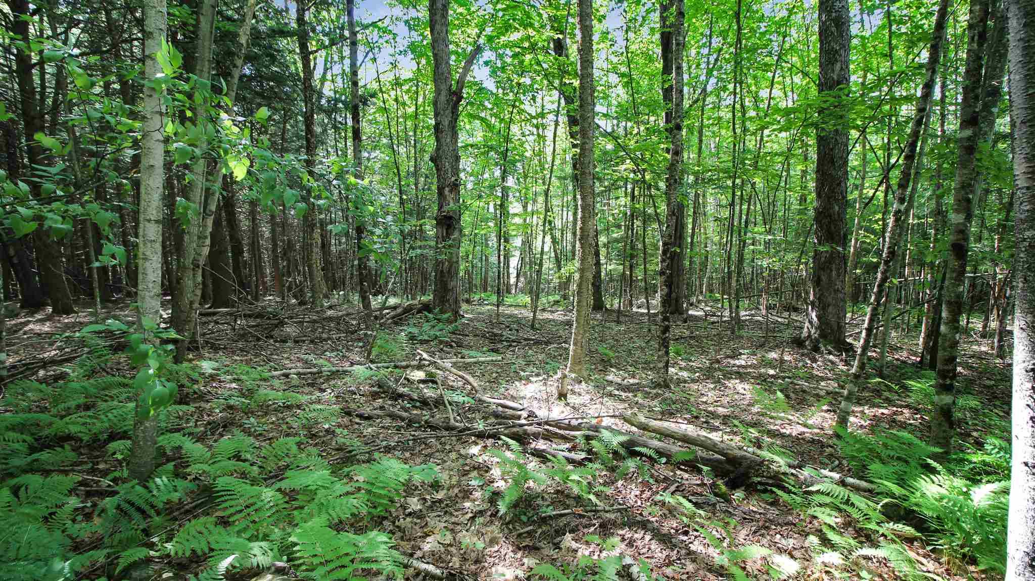 Haverhill, NH 03774,County RD