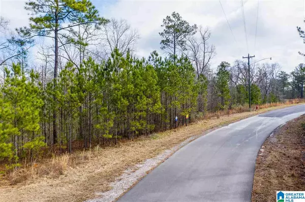 Sylacauga, AL 35151,SHORE SIDE LANE #Lot 214