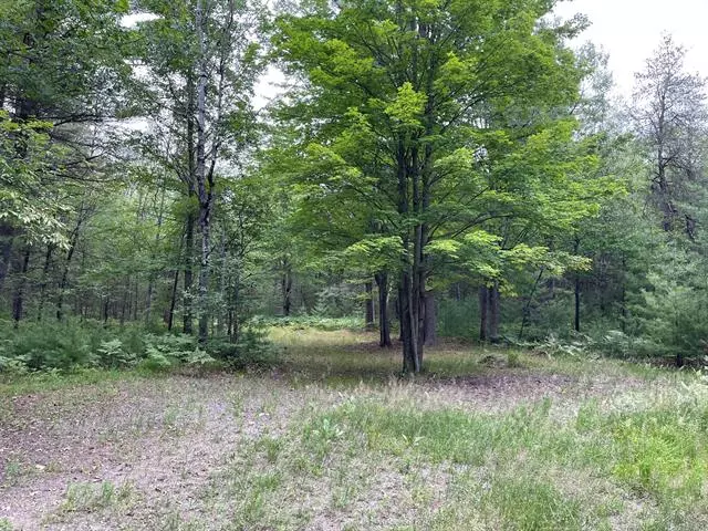 Pomeroy Springs Road, Elk Twp, MI 49644