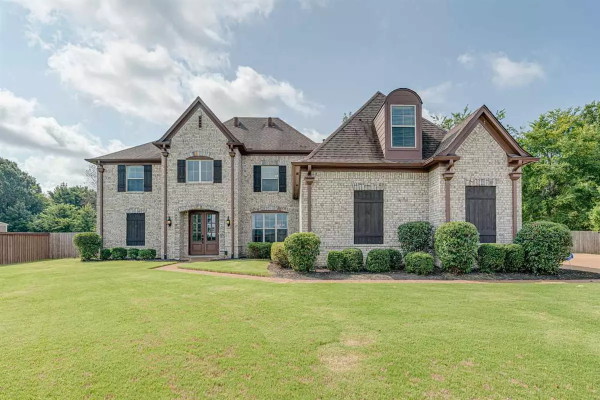 Collierville, TN 38017,175 AMBER WAVES LN