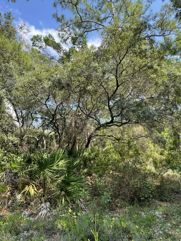 Santa Rosa Beach, FL 32459,Lot 11 Lakewood Drive