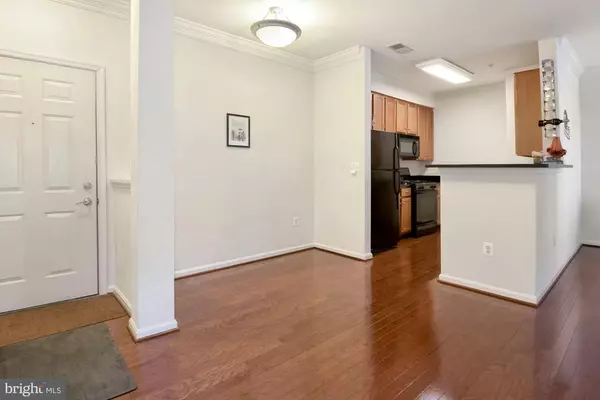 Alexandria, VA 22304,4852 EISENHOWER AVE #231