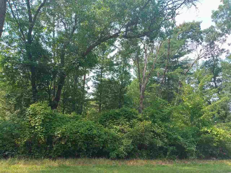 Lot 37 20th Ave, Arkdale, WI 54613