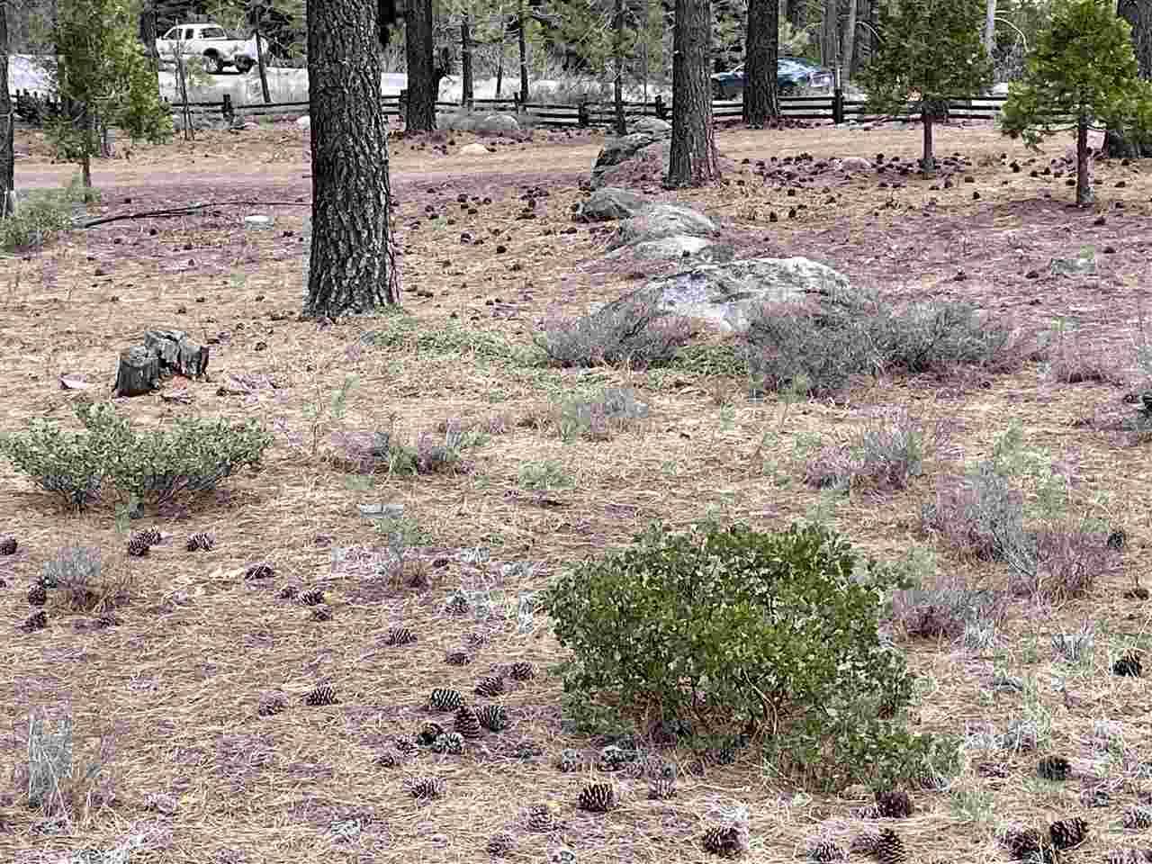 11937 Lamplighter Way, Truckee, CA 96161