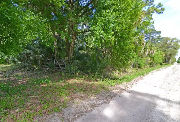 Indiantown, FL 34956,0000 SW 95th ST