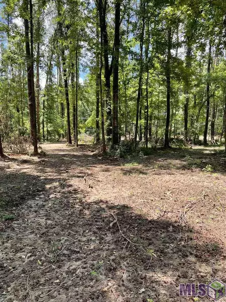 Lot 3-C-4-C OLD LAUREL HILL RD, St Francisville, LA 70775