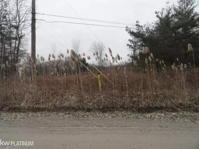 FOREST VACANT, Lenox, MI 48050