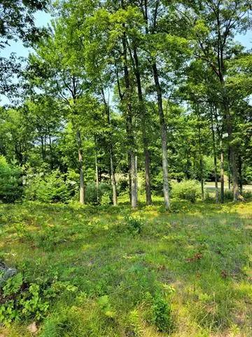 Onekama Twp, MI 49675,Ceylon Drive Lot 13