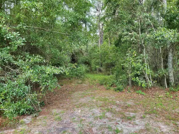 Live Oak, FL 32060,20915 CR 136