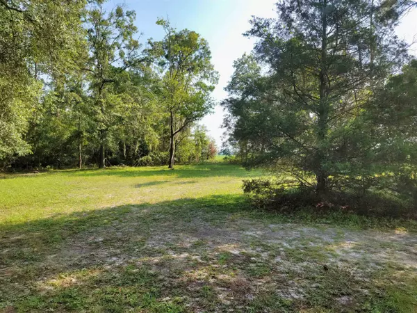 Live Oak, FL 32060,20915 CR 136