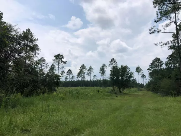 Laurel Hill, FL 32567,20 ACRES BUCK TYNER