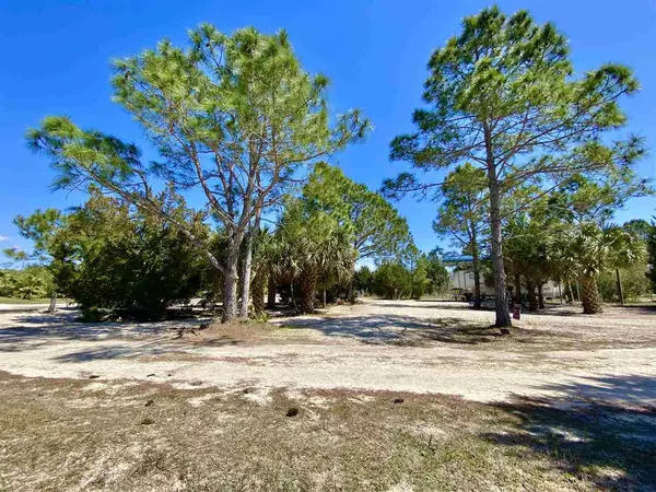 Perry, FL 32348,Vacant Osprey Circle