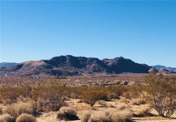 Joshua Tree, CA 92252,61200 La Brisa DR