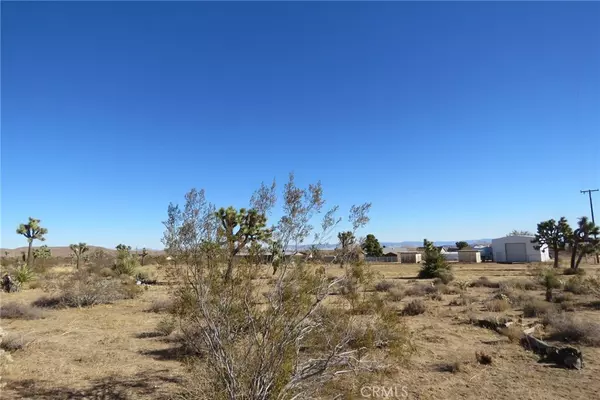 Yucca Valley, CA 92284,0 Canterbury