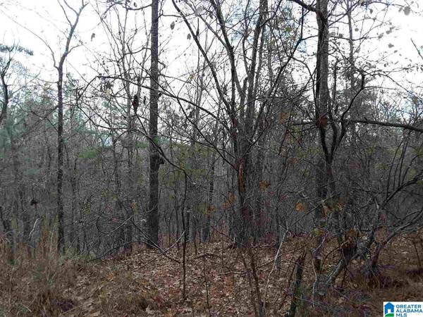 WHITE OAK ROAD ##1, Sylacauga, AL 35151