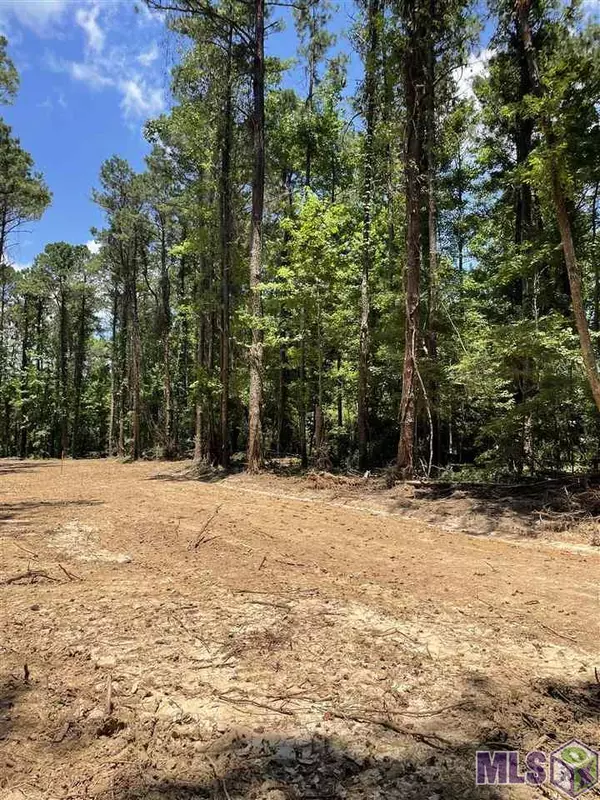 St Francisville, LA 70775,Lot 3-C-4-B OLD LAUREL HILL RD