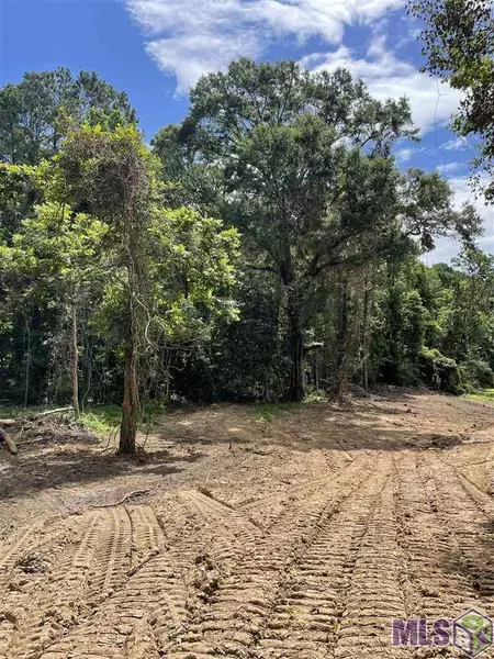 Lot 3-C-4-A OLD LAUREL HILL RD, St Francisville, LA 70775