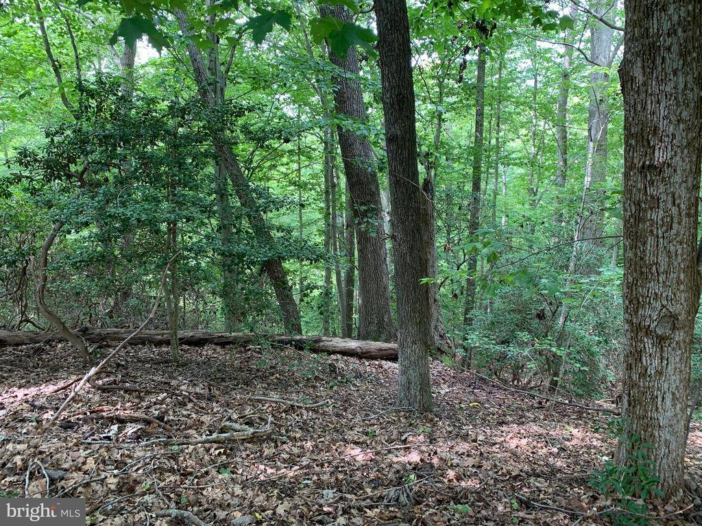 Lusby, MD 20657,12731 CORDOVA CT