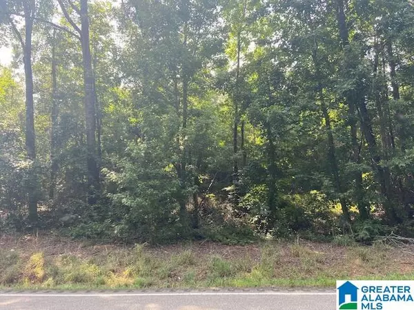 Rockford, AL 35136,000 HIGHWAY 231 #1