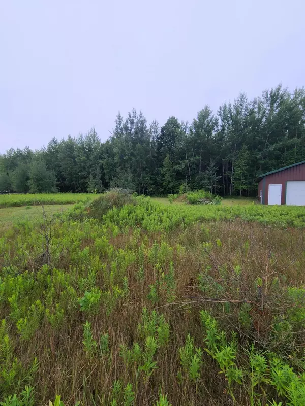 Middle Inlet, WI 54177,5.4 acres Itsy Bitsy Ln