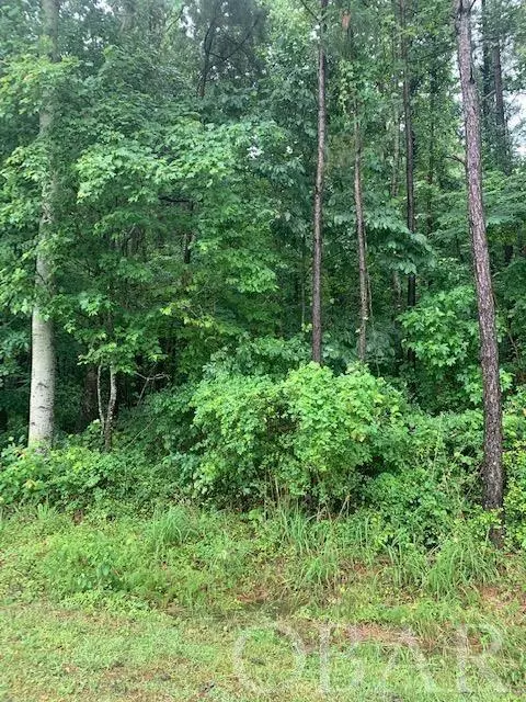 Moyock, NC 27958,119 Dozier Road #Lot# 4A