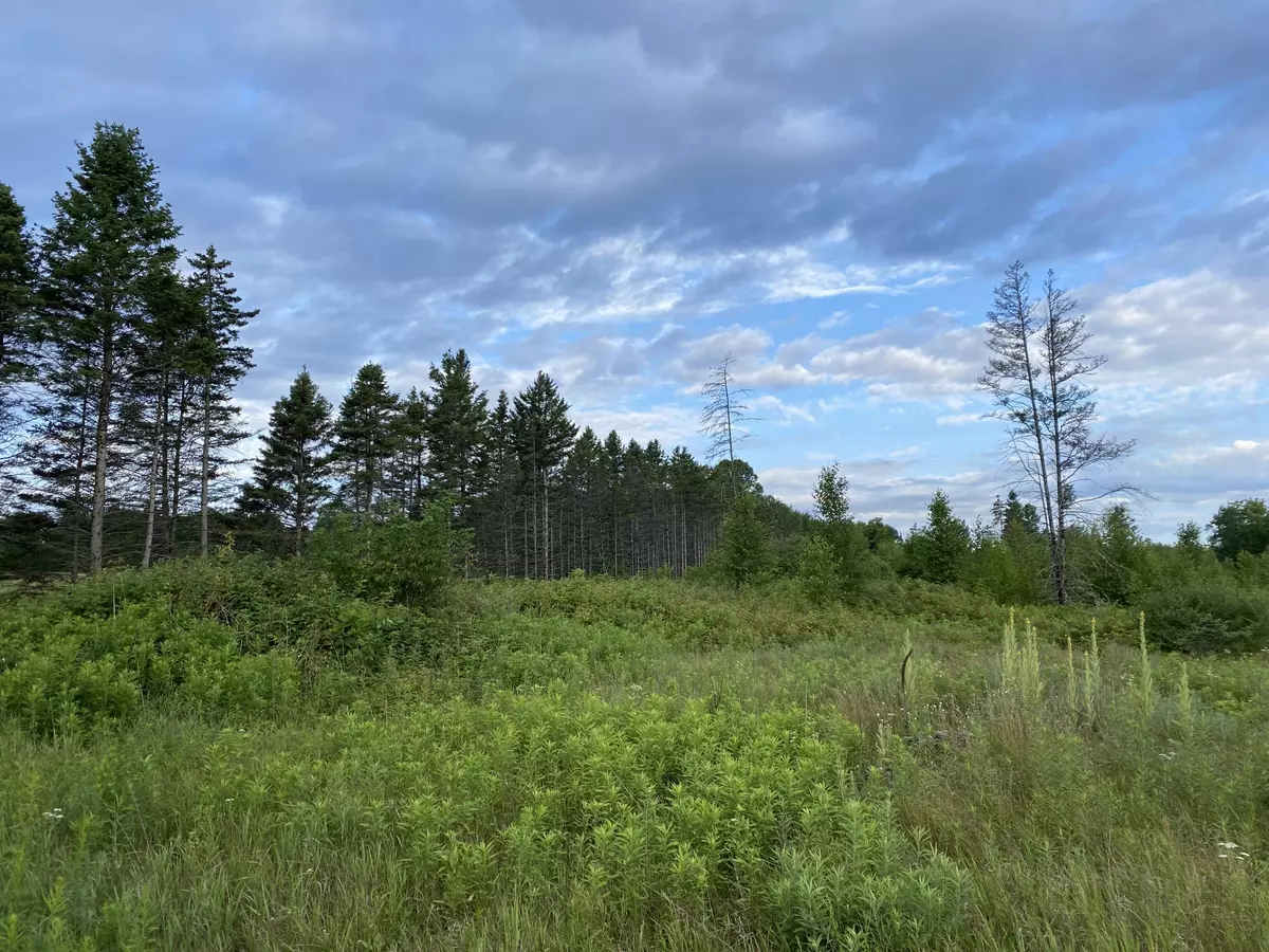 Beecher, WI 54156,6.25 Ac Big Woods Lane