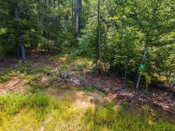 Holderness, NH 03245,Lot 9 Pleasant Place DR