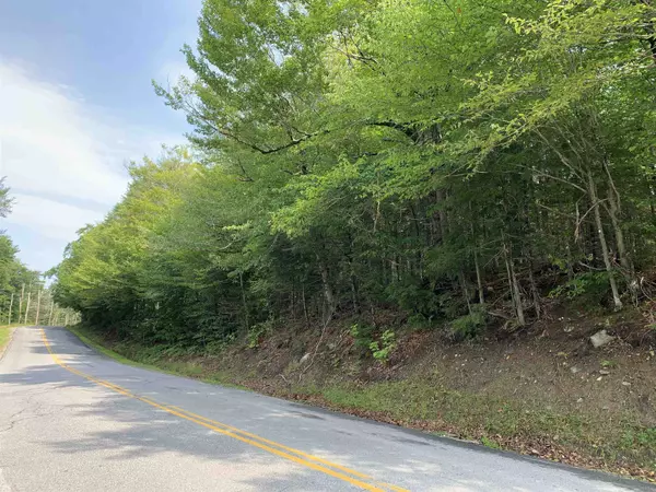 Groton, NH 03241,36 North Groton RD #lot 36